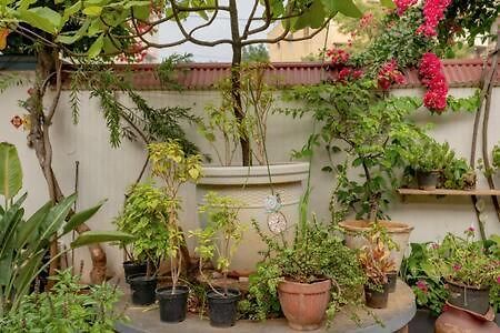 Eden Garden Villa By Jadecaps Nr Mg Road Garden Bangalore Ngoại thất bức ảnh