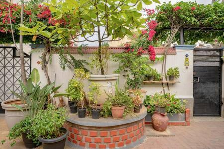 Eden Garden Villa By Jadecaps Nr Mg Road Garden Bangalore Ngoại thất bức ảnh